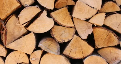 Longueur des bûches quelle taille pour poêle ou cheminée
