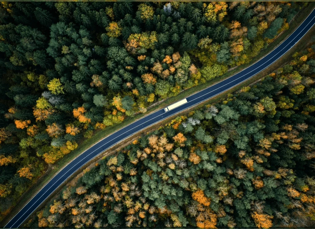 Un camion sur une route en foret