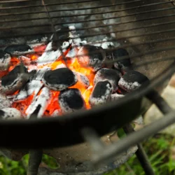 Mix charbon et briquettes de charbon de bois
