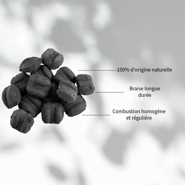 Briquettes de charbon de bois 