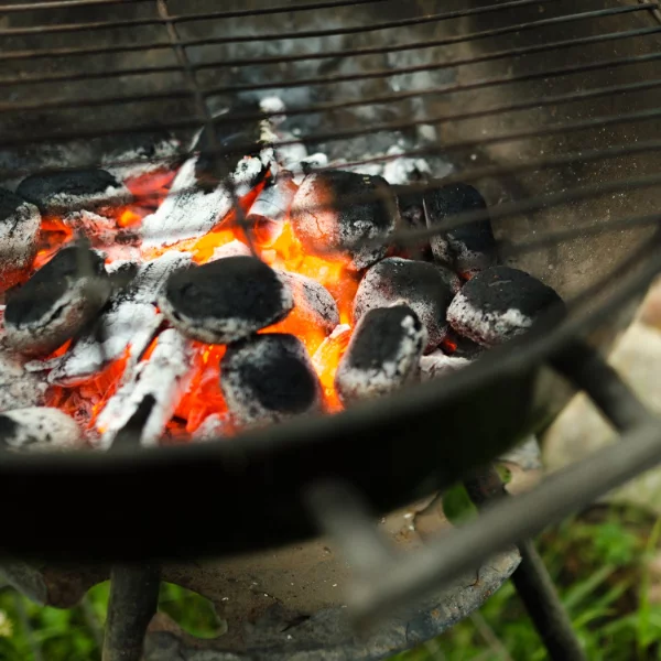 Mix charbon et briquettes de charbon de bois