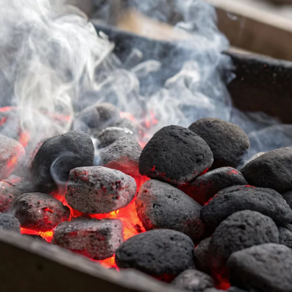 Briquettes de charbon de bois 