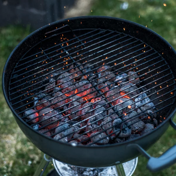 Briquettes de charbon de bois 