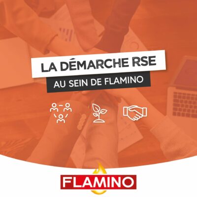Flamino Demarche RSE
